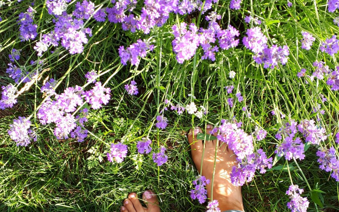 Wellness Redone - Barefoot Earthing