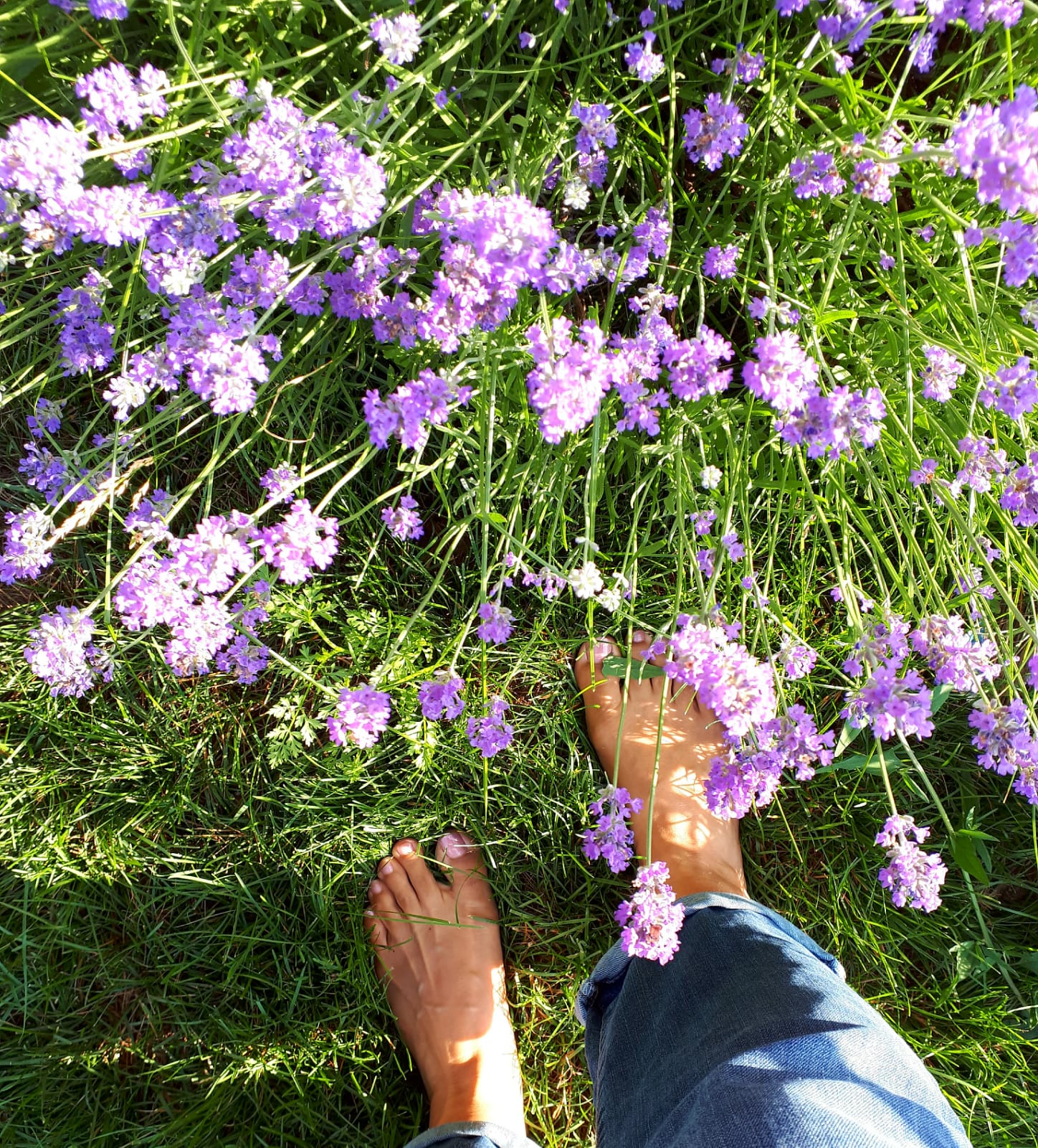 Barefoot Earthing