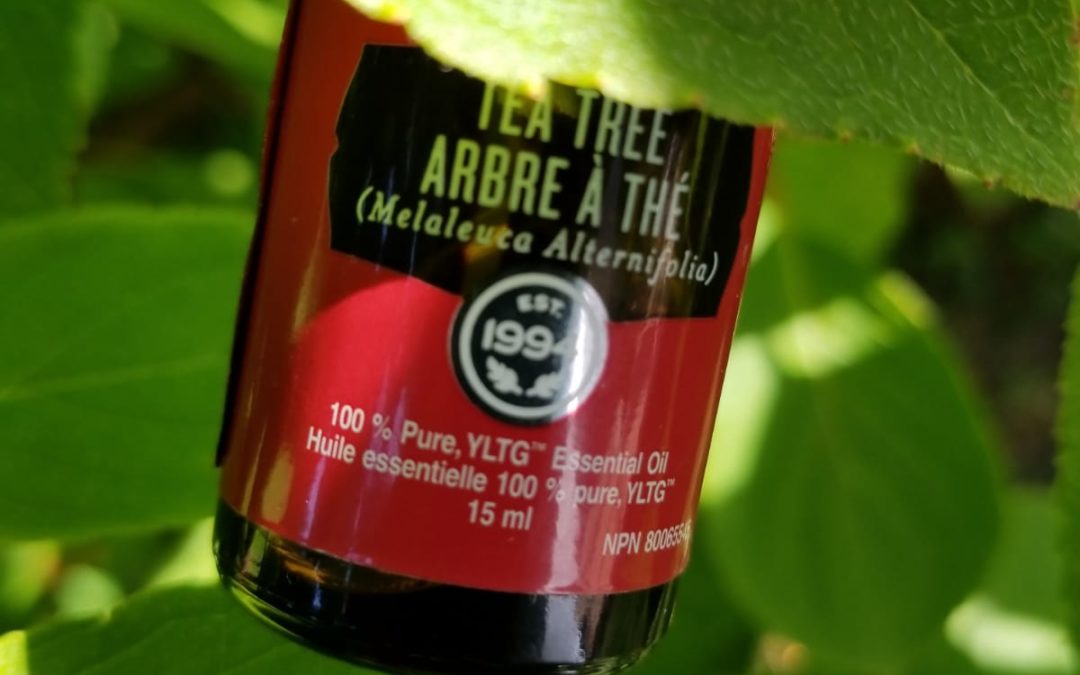 3 reasons you need Tea Tree Oil