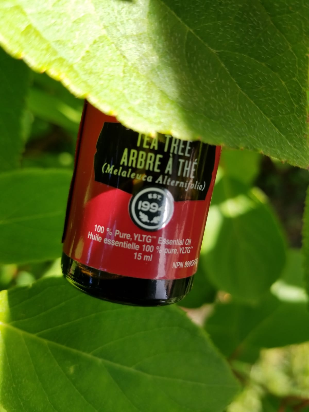 3 reasons you need Tea Tree Oil…